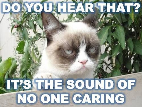 grumpy cat doesn't care.jpg