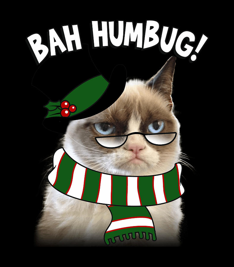 grumpy-cat.jpg