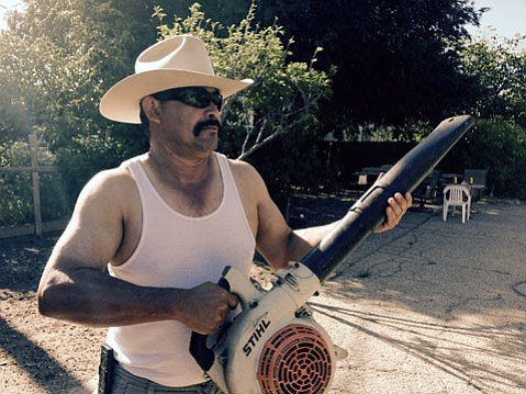 Gustavo-the-Gardentor-Pic_t479.jpg