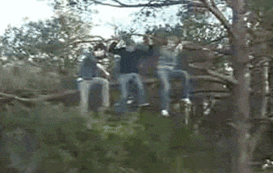 h50A1264A.gif