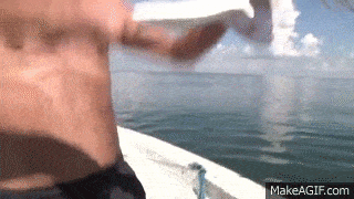hackgif.gif