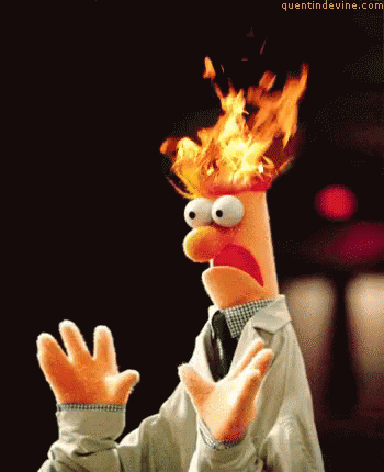 hair on fire muppet.gif