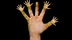hands.png
