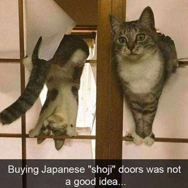 happens_640_16.jpg