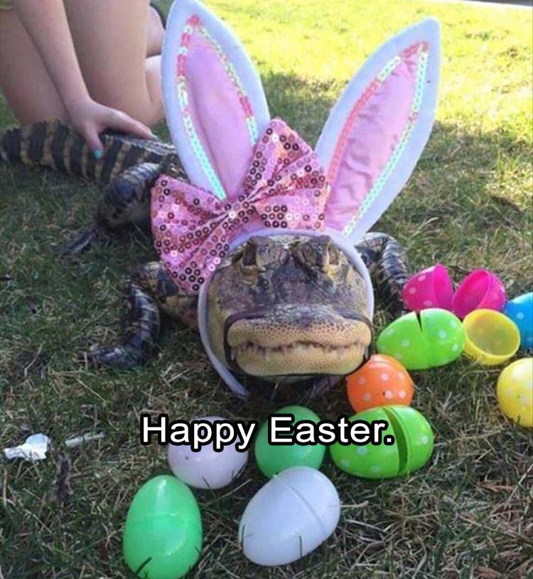Happy-easter.jpg
