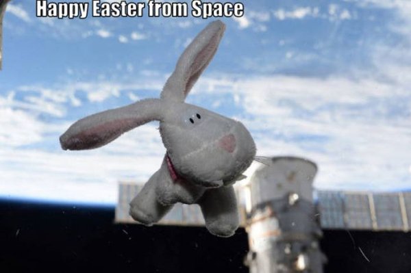 happy-pictures-17.jpg
