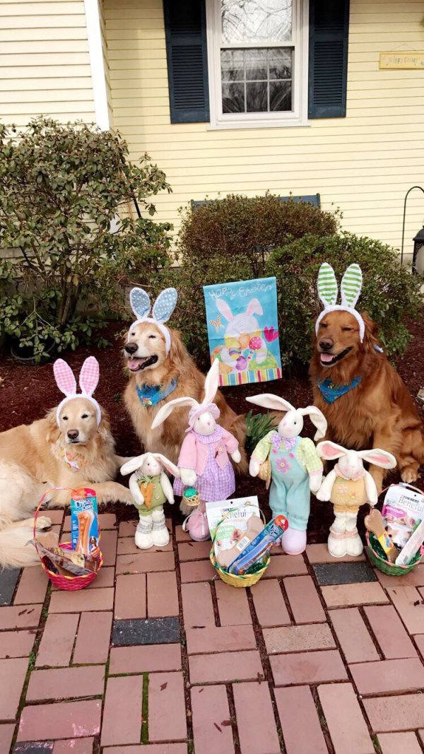 happy-pictures-6.jpg