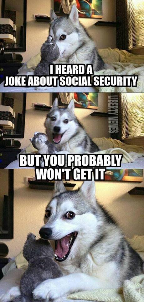 HappyHuskySS.jpg