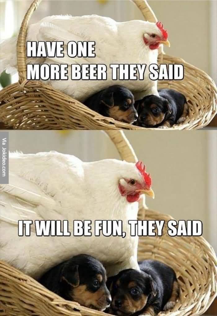 Have-one-more-beer-they-said-it-will-be-fun-they-said.jpg