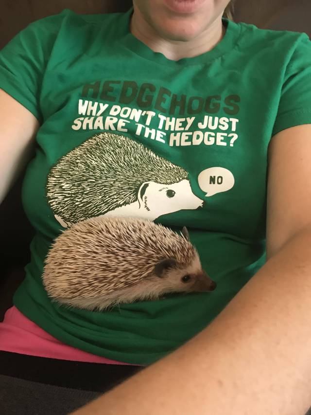 hedge share.jpg