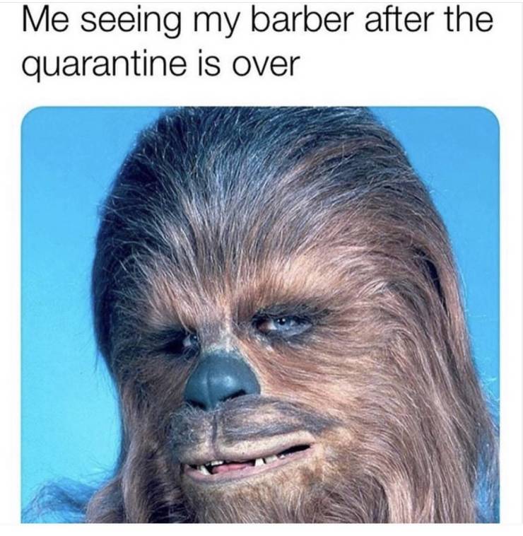 high_13.jpg