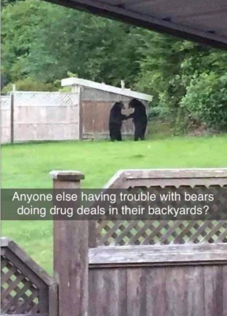 high_36.jpg