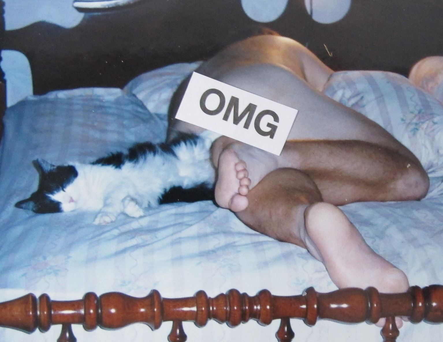 Hoke n Gracie in bed.jpg