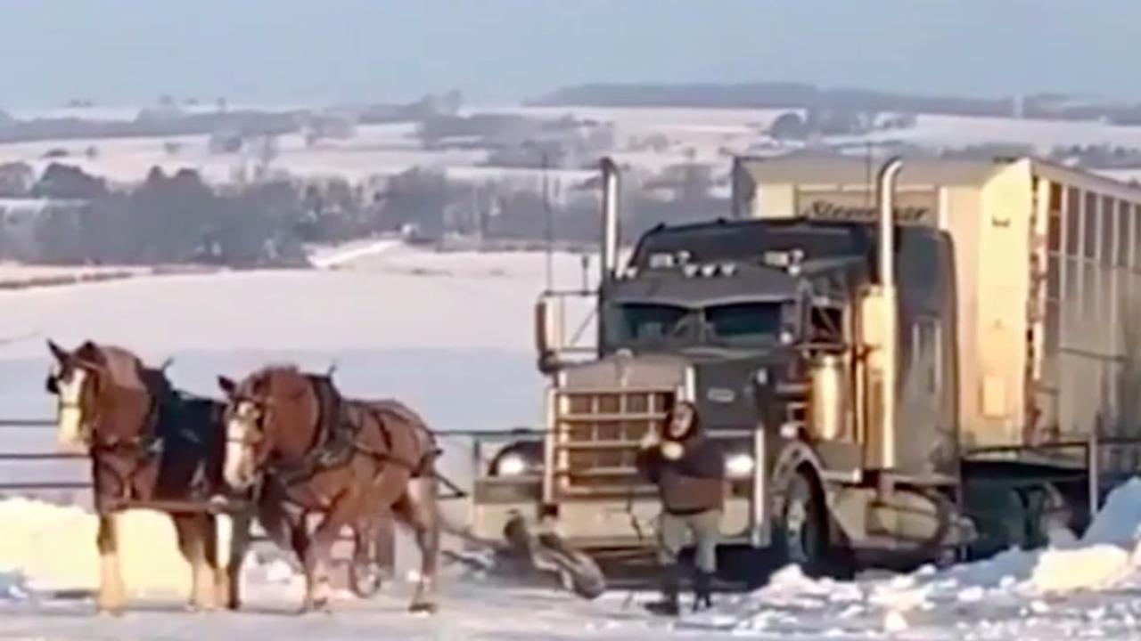horsespullsemi.jpg