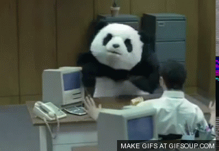 HTTP21lZGlhLmdpcGh5LmNvbS9tZWRpYS9Ub01qR3BJWXRndk1QMzhXVEZDL2dpcGh5LmdpZgloglog.gif