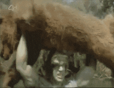 hulk-bear_1292446390.gif