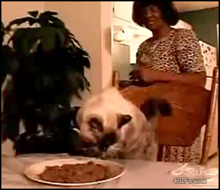 HYCG6FIYmOKqI.gif