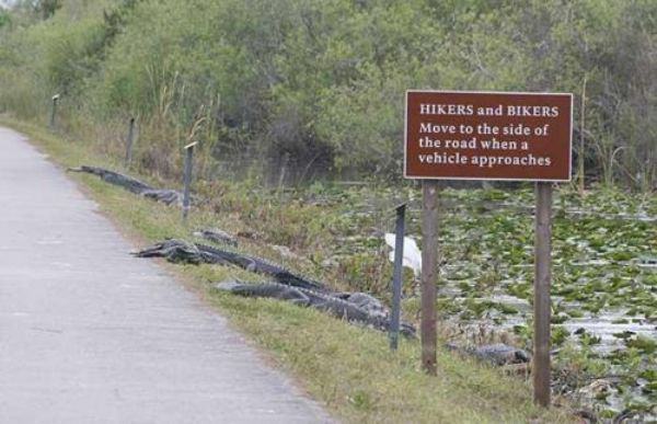 i-guarantee-your-day-could-be-worse-31-photos-13.jpg
