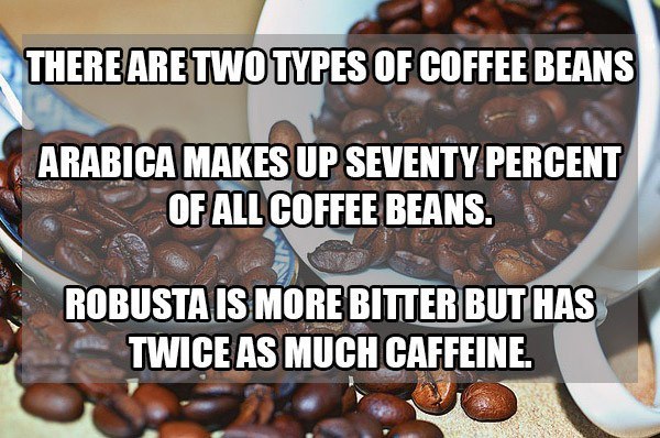 i-need-my-coffee-17.jpg