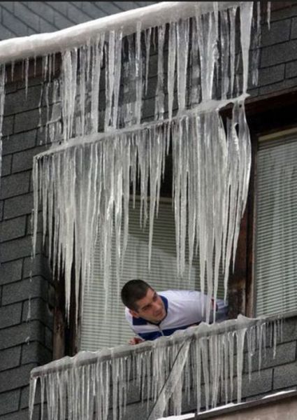 i_cant_decide_if_these_people_are_stupid_or_crazy_640_20.jpg