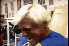 IllegalDefiantBichonfrise-max-1mb.gif