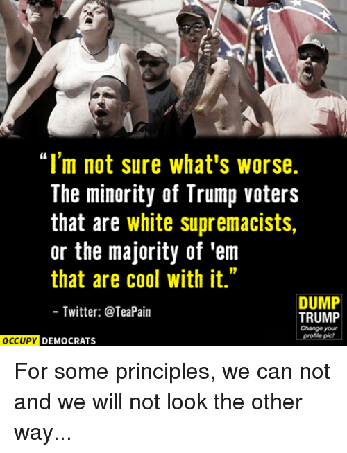 im-not-sure-whats-worse-the-minority-of-trump-voters-5306009.png