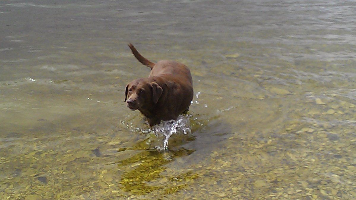 IMAG0655.jpg