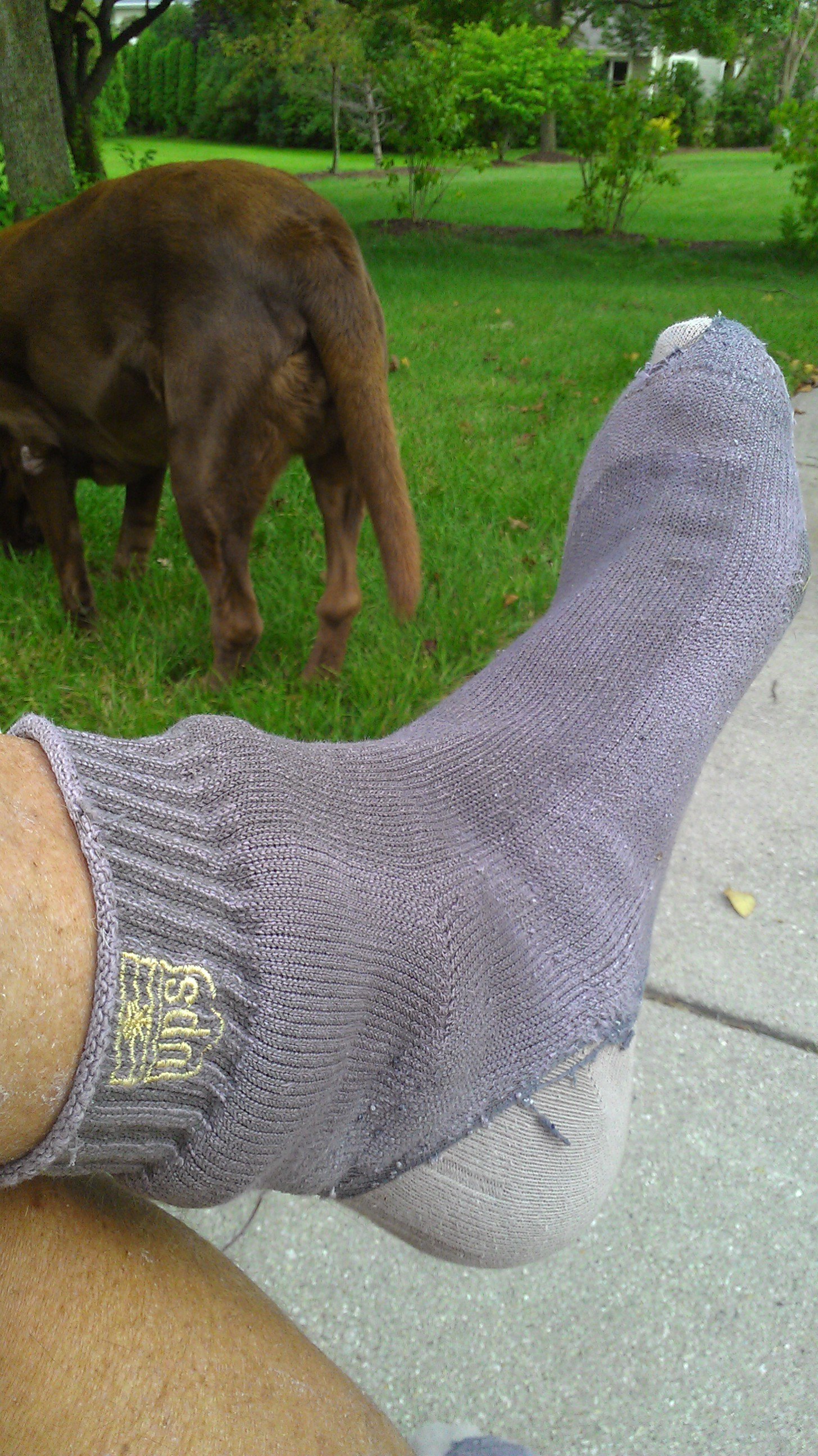 IMAG0825.jpg