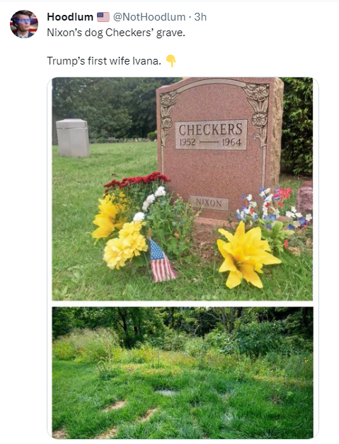 Image 5.png