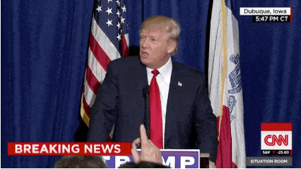 image.gif