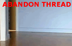 image.gif