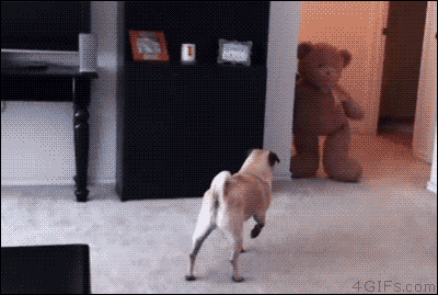 image.gif