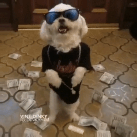 image.gif