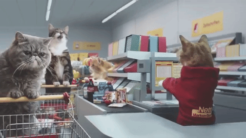 image.gif