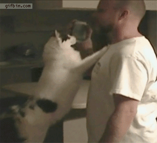 image.gif