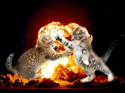 image.gif