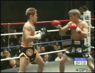 image.gif