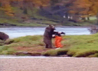 image.gif