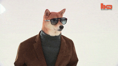image.gif