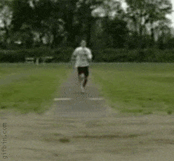 image.gif