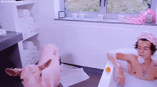 image.gif