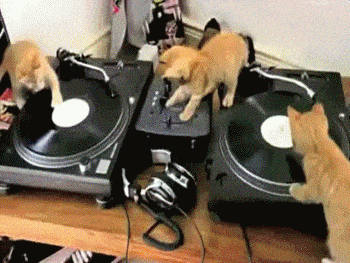 image.gif
