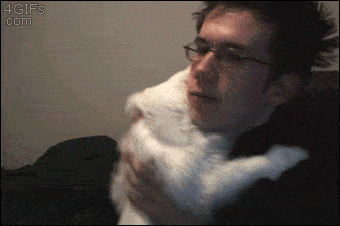 image.gif