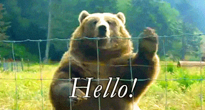 image.gif