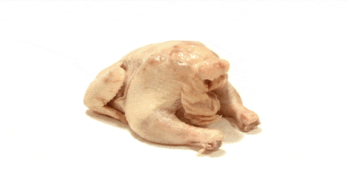 image.gif