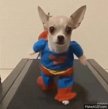 image.gif