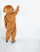 image.gif