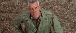 image.gif