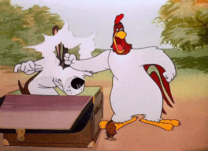 image.gif