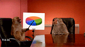 image.gif